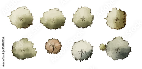 Various green trees, bushes and shrubs, top view for landscape design plan. Vector watercolor illustration, isolated on white background.