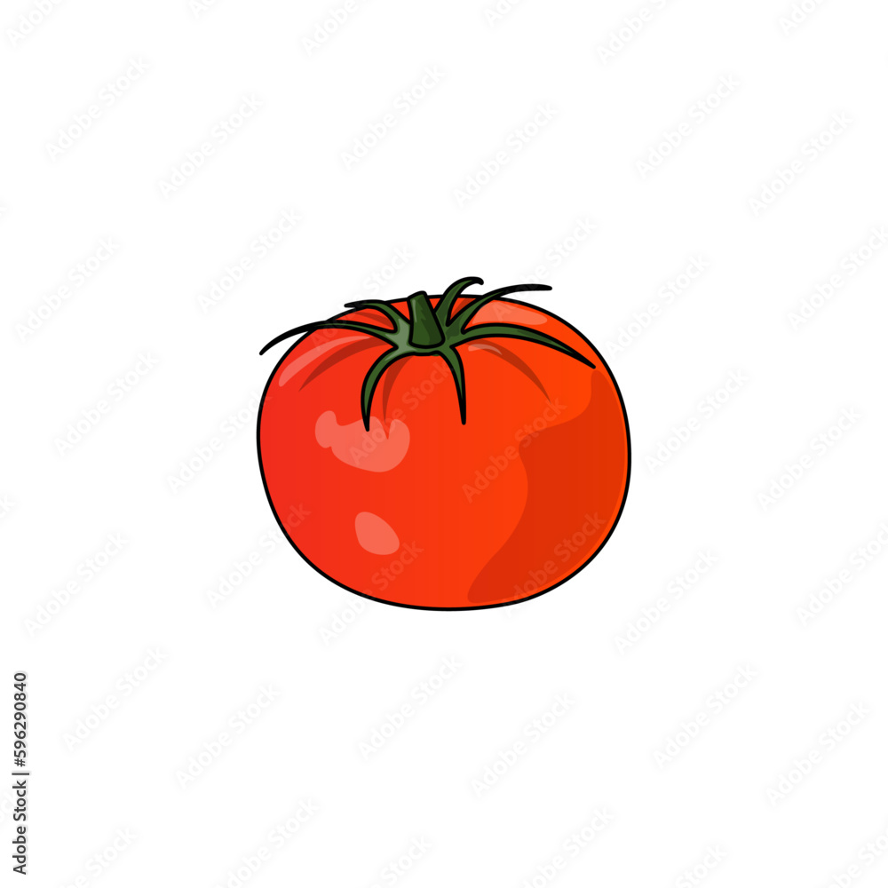 Semi-realistic vectorial illustration of tomato on transparent background Semi-realistic vectorial illustration of tomato on transparent background