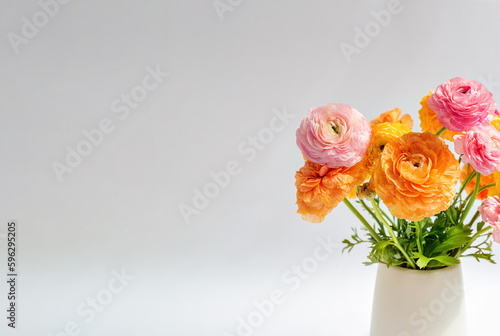 Multicolored bouquet of ranunculus on a white background