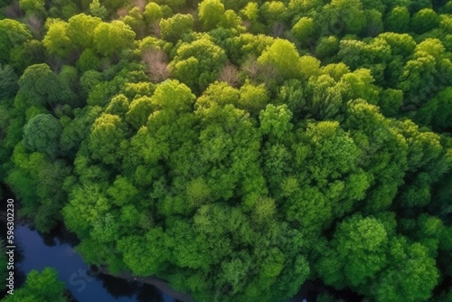 aerial view of a dense and vibrant green forest. Generative AI