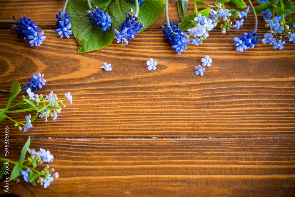 Wooden background with spring flowers and empty space Wooden background with spring flowers and empty space
