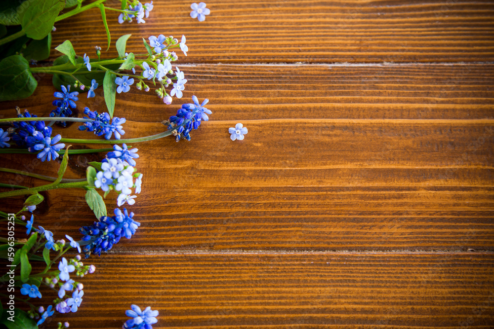 Wooden background with spring flowers and empty space Wooden background with spring flowers and empty space