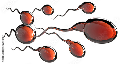 Fertilization 3D illustration. Sperm, semen, cum, jizz, spunk