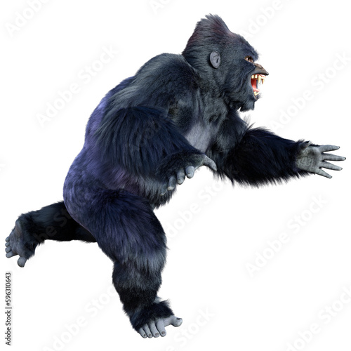 3D Rendering Black Gorilla Ape on White