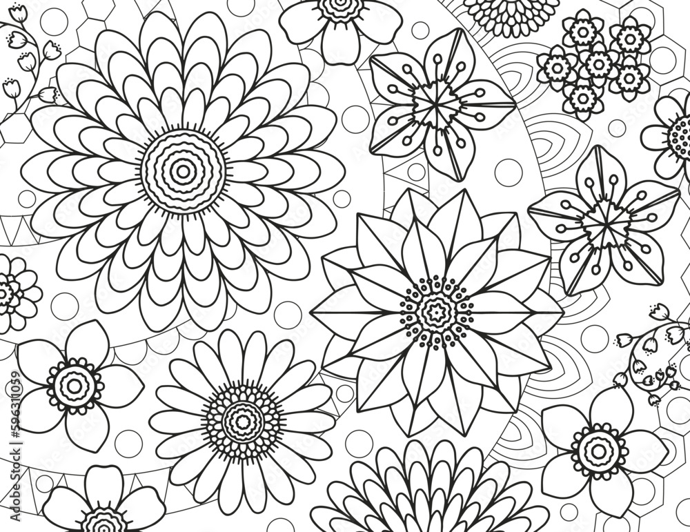  Coloring pages for children and adults.Blooming garden illustration hand drawing.  