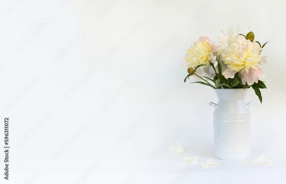 Bouquet of delicate pink fresh peonies on a white background. Empty space for text, congratulations, announcement, invitation or romantic message. Front view, mock up, copy space, banner, blank Bouquet of delicate pink fresh peonies on a white background. Empty space for text, congratulations, announcement, invitation or romantic message. Front view, mock up, copy space, banner, blank