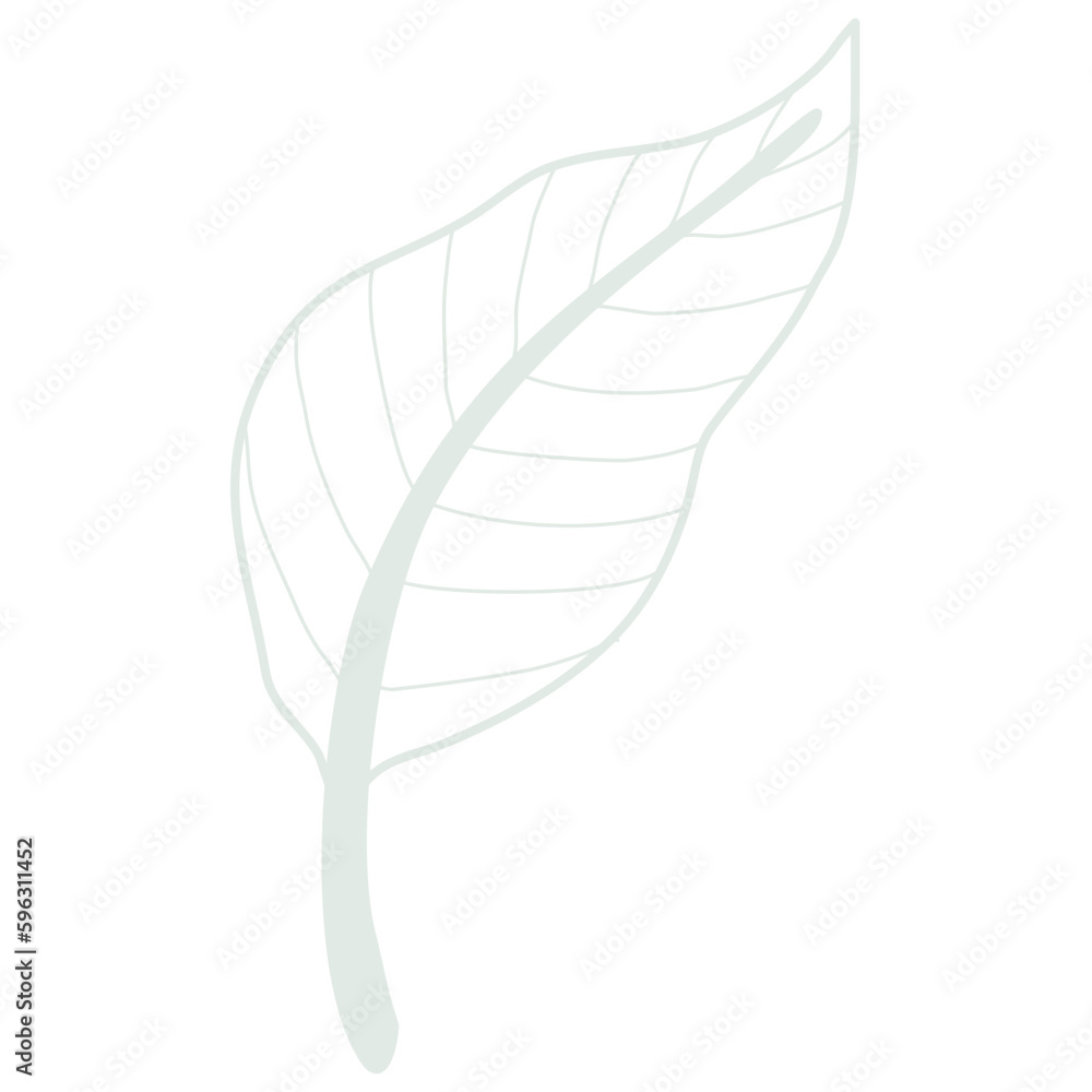 Line art leaf Line art leaf