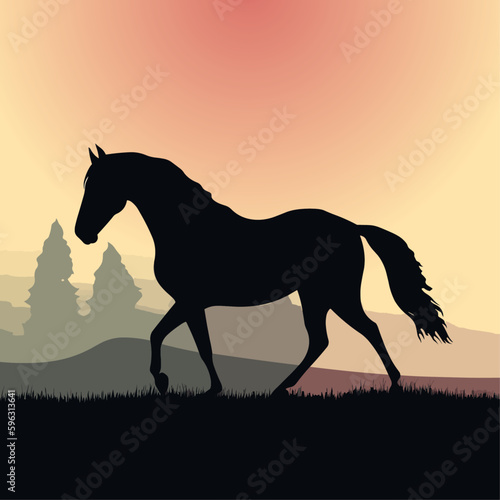 Silhouette horse, landscape, vector illustration © Dmytro