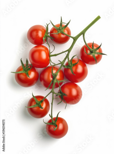 Red cherry tomatoes on a twig