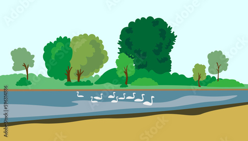 horizontal landscape with a lake with a flock of swans and a park. river bank in flat style vector. landscape with trees and a pond. a flock of white swans. wallpaper with a view of the other shore. r