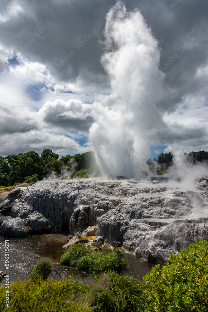 Pohutu Geyser in the Whakarewarewa Thermal Valley, Rotorua, in the North Island of New Zealand. The geyser is the largest in the southern hemisphere and among the most active in the area