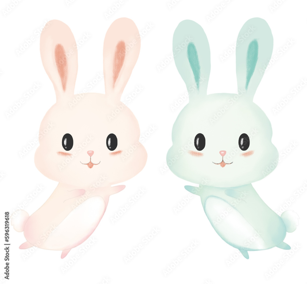 Fototapeta premium 토끼