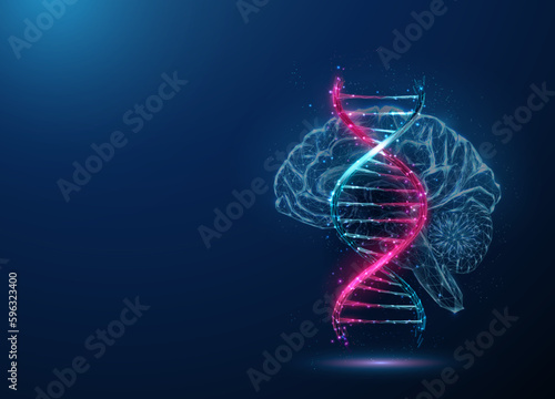 Abstract blue and purple DNA molecule helix and brain