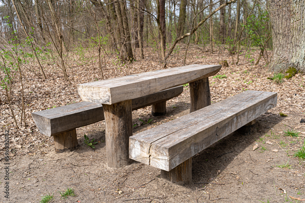 Old Wooden Tables and Benches for a BBQ Picnic