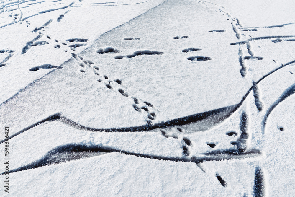 Human footprints on snow covered ice Human footprints on snow covered ice