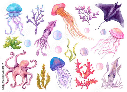 A set of bright watercolor marine elements. Algae, jellyfish, stingray, squid, octopus. Underwater creatures drawn by hand. Isolated on white background.