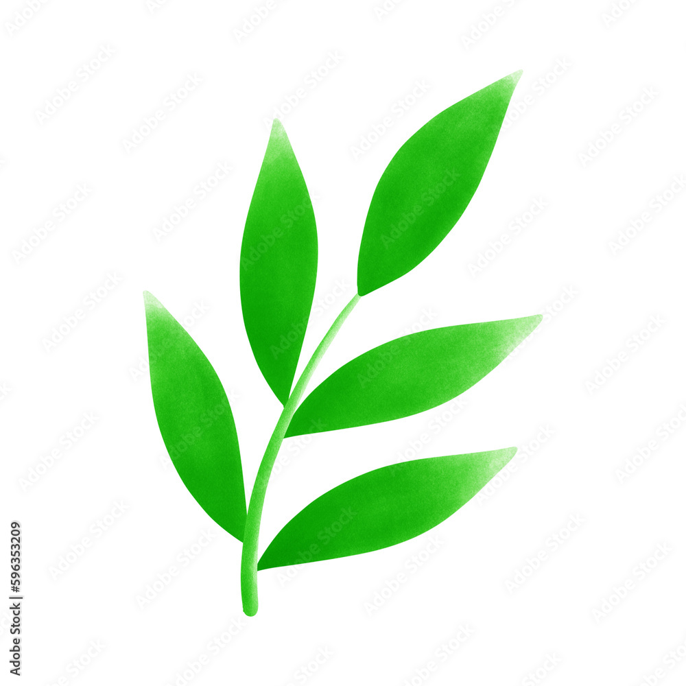 Leaf Leaf