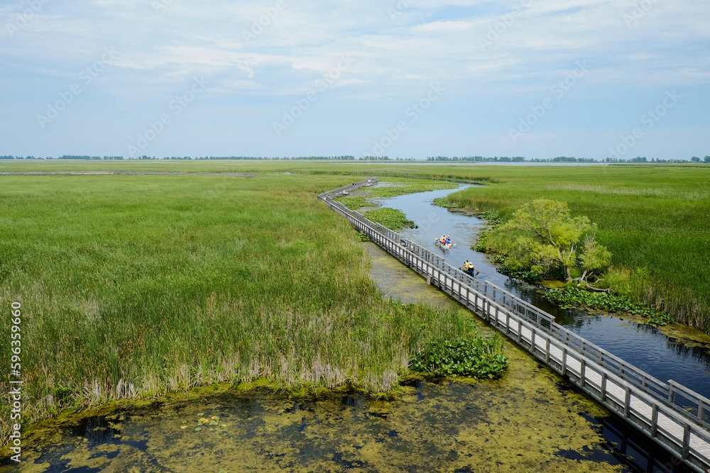 Aerial view of people canoeing along the wooden boardwalk at Point Pelee National Park marsh, southwestern Ontario, Canada. Outdoor, camping, summer sports and activities concept. Aerial view of people canoeing along the wooden boardwalk at Point Pelee National Park marsh, southwestern Ontario, Canada. Outdoor, camping, summer sports and activities concept.
