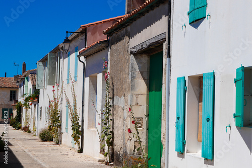 Charente-Maritime - Ile de Ré - Saint-Martin de Ré - Rue décorée de roses trémières