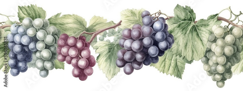 Seamless Tile Watercolor Row of Fresh Grapes on the Vine on a White Background - Generative AI. Seamlessly expandable on both ends to your desired length.