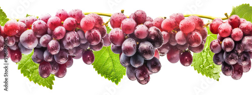 Seamless Tile Row of Fresh Grapes on the Vine on a White Background - Generative AI. Seamlessly expandable on both ends to your desired length.
