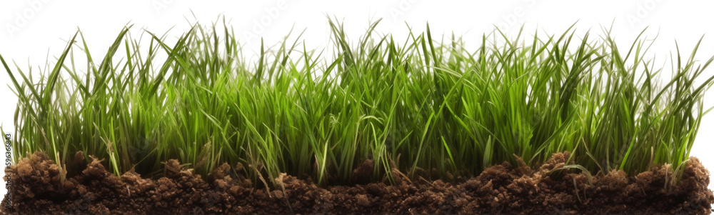 Cross Section Row of Fresh Grass on a White Background - Generative AI. Cross Section Row of Fresh Grass on a White Background - Generative AI.