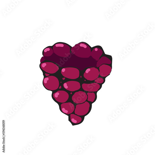 Wallpaper Mural Vector illustration. Raspberry in hand drawn style in black outline. Ripe berry, raspberry, vector Torontodigital.ca
