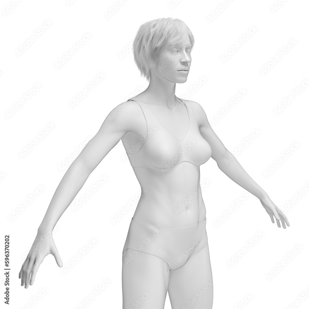 Naklejka premium 3d medical illustration of the female body