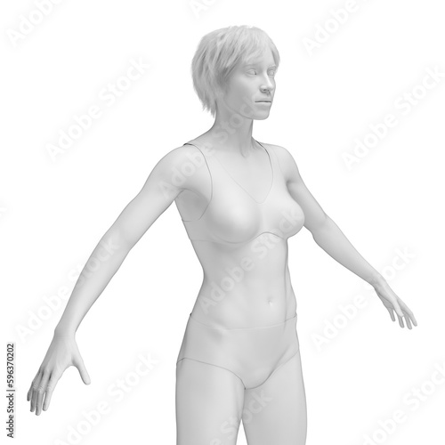 3d medical illustration of the female body
