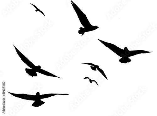 Photography png flock of birds silhouette isolated on clear background