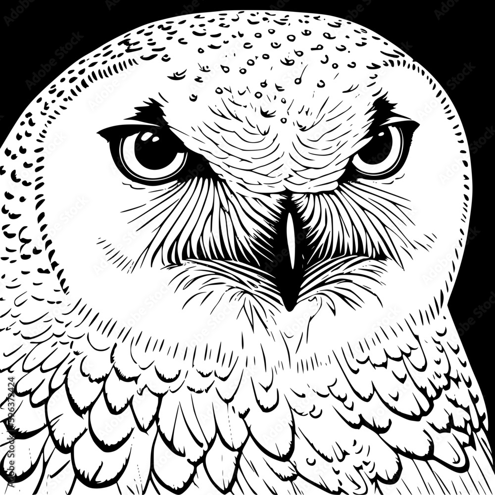 Fototapeta premium owl on a branch