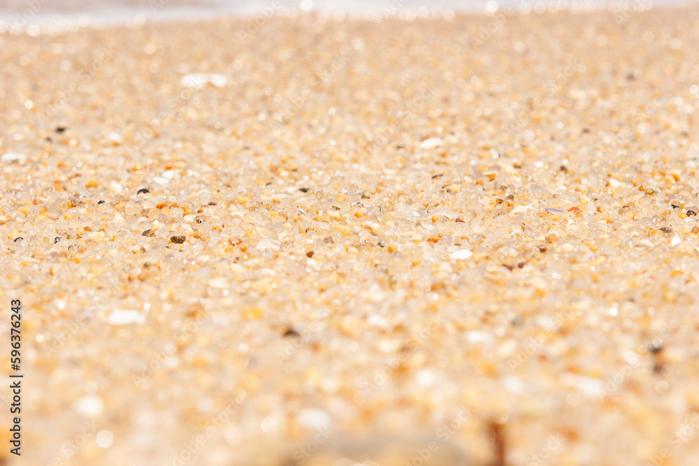 Small grains of sand spread widely on the eastern beaches of the Korean sea.
This is the sandy beach of the East Sea. Small grains of sand spread widely on the eastern beaches of the Korean sea.
This is the sandy beach of the East Sea.