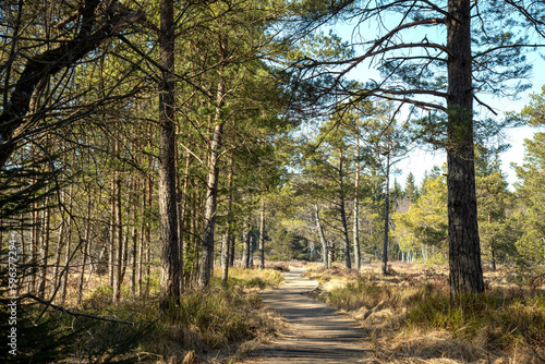 Wanderweg durch das  Bad Wurzacher Ried