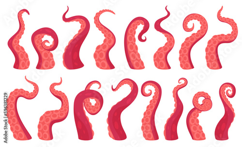 Octopus tentacles with suction cups in various twisted forms. Limbs of marine animals octopus squid. Vector illustration