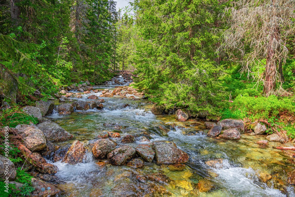 Mountain river in the wild forest. Tatras, Slovakia.