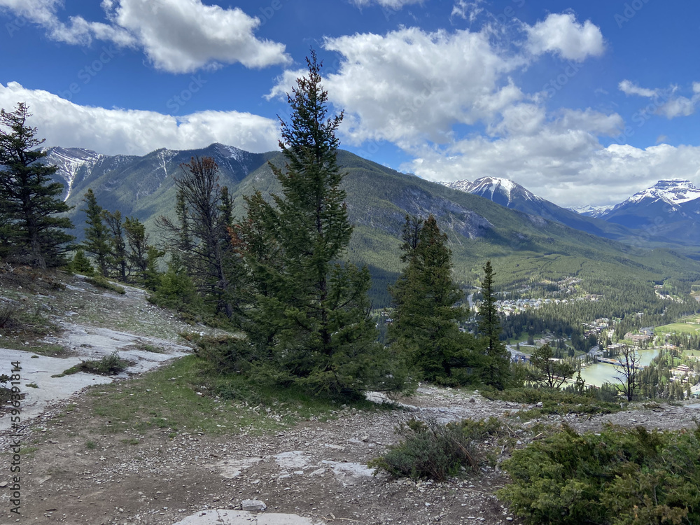 Fototapeta premium landscape in the mountains