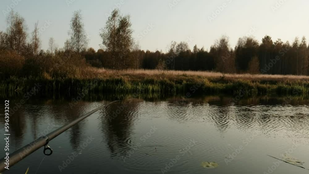 fishing float on the surface of still water, evening fishing on the river fishing float on the surface of still water, evening fishing on the river