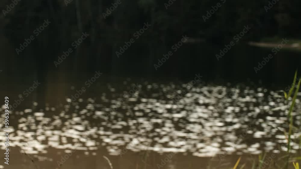 glare on water with defocus glare on water with defocus