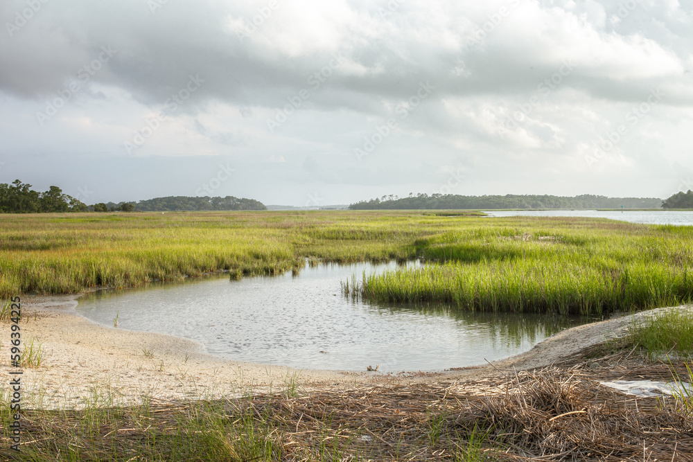 South Carolina, USA - April: Marshland Seascape View with Beautiful Sea Grasses and Sand in South Carolina