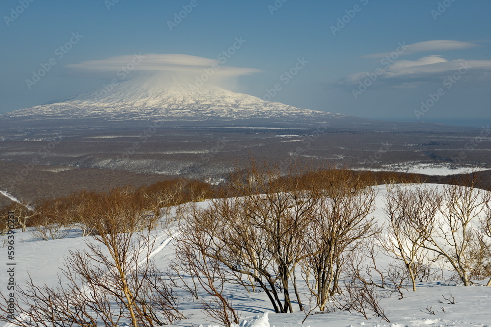 Russia. Far East, Kuril Islands. View of the snow-covered volcanoes of Iturup Island, overgrown with larch and gnarled stone birch. Russia. Far East, Kuril Islands. View of the snow-covered volcanoes of Iturup Island, overgrown with larch and gnarled stone birch.