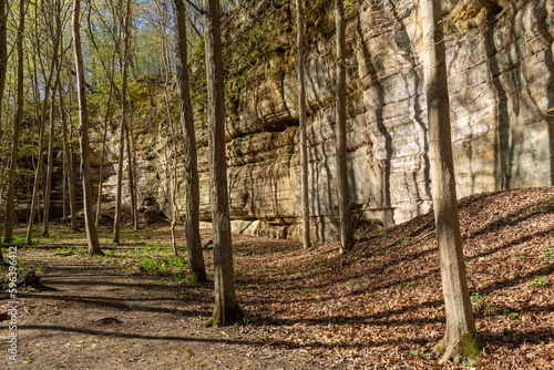 Signs of spring color on a sunny early spring hike at Starved Rock state park.
