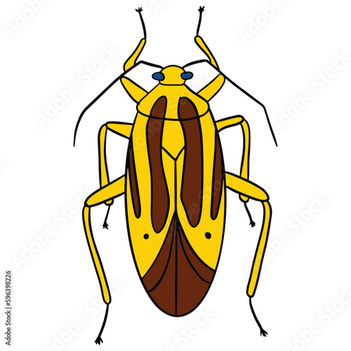 unique yellow brown beetle ,good for graphic design resources, posters, banners, templates, prints, coloring books and more. photo