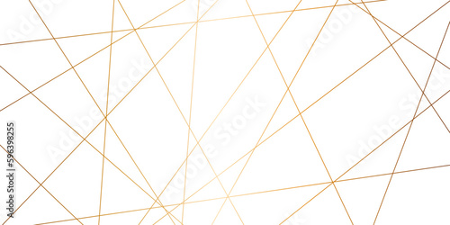 Luxury premium golden random chaotic wavy lines abstract background. Vector, illustration