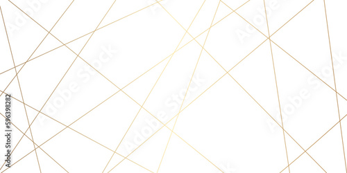 Abstract luxury golden lines background. Luxury premium gold wavy lines background.