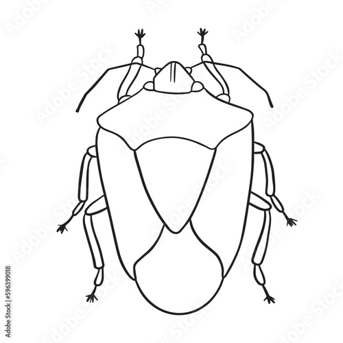 Beetle insect outline art ,good for graphic design resources, posters, banners, templates, prints, coloring books and more.