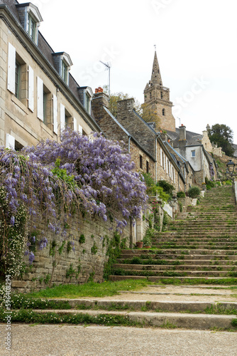 Escaliers de Brélévenez et glycine, Lannion, Côte de granite rose, Côtes d'armor, Bretagne © AnneSophie