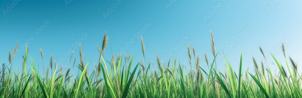 Obraz premium a green grassy background with clear blue skies. Generative Ai. 