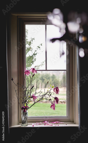 Spring Pink Magnolia Flowers in Window