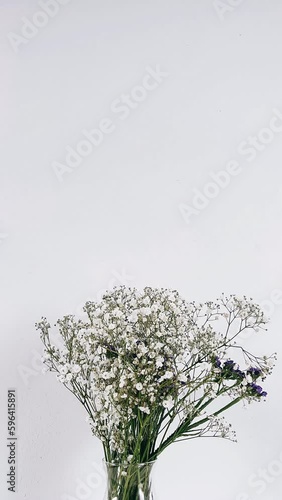 bunch of lavender, xflower, plant, purple, isolated, lavender, nature, flowers, lilac, bouquet, blossom, white, herb, bunch, spring, flora, leaf, herbal, bloom, pink, floral, beauty, tree, branch, aro photo