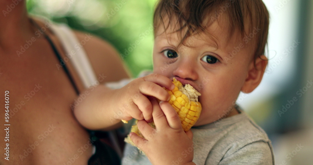 Handsome one year old baby toddler taking a bite of healthy corn cob Handsome one year old baby toddler taking a bite of healthy corn cob